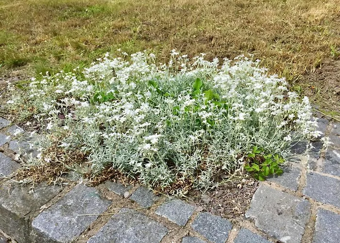 Vakantiehuis Am Rennsteig *
