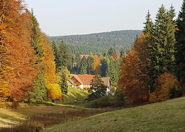 Vakantiehuis Am Rennsteig *